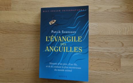 evangille des anguilles livre book patrick Svensson eclosion