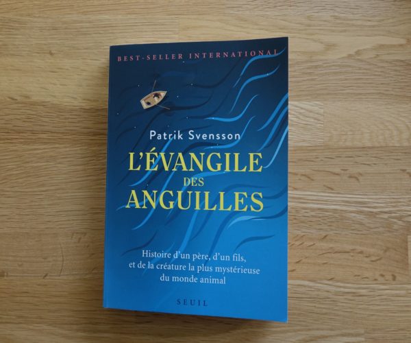 evangille des anguilles livre book patrick Svensson eclosion