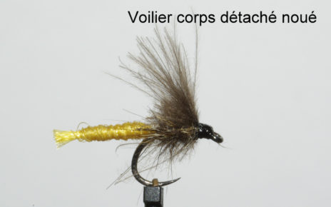 eclosion peche à la mouche fly flytying tying rodbuilding