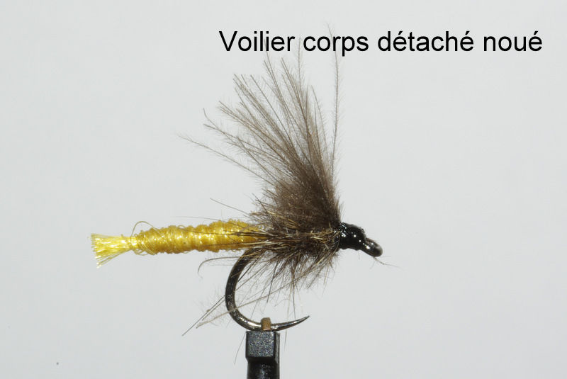 eclosion peche à la mouche fly flytying tying rodbuilding