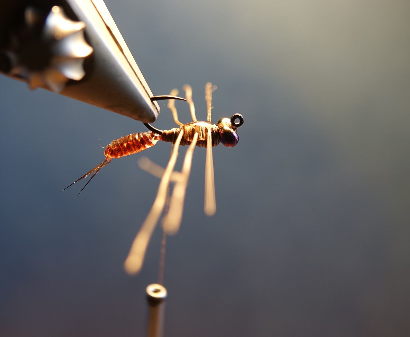 ANR larve larvae nymphe nymph fly tying flytying mouche eclosion