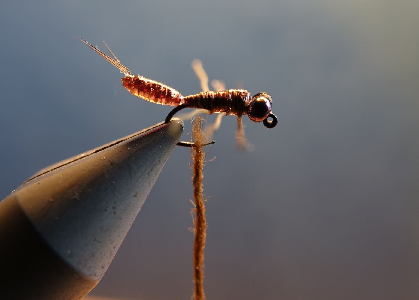 ANR larve larvae nymphe nymph fly tying flytying mouche eclosion