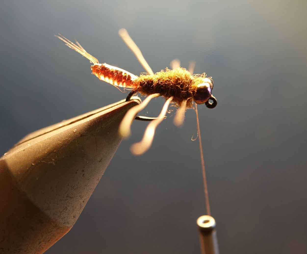 Ecrevisse craw crayfish fly tying mouche eclosion cephalothorax