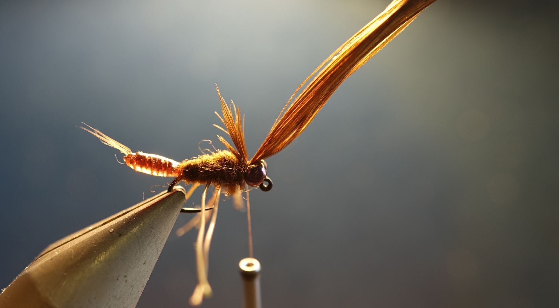 ANR larve larvae nymphe nymph fly tying flytying mouche eclosion