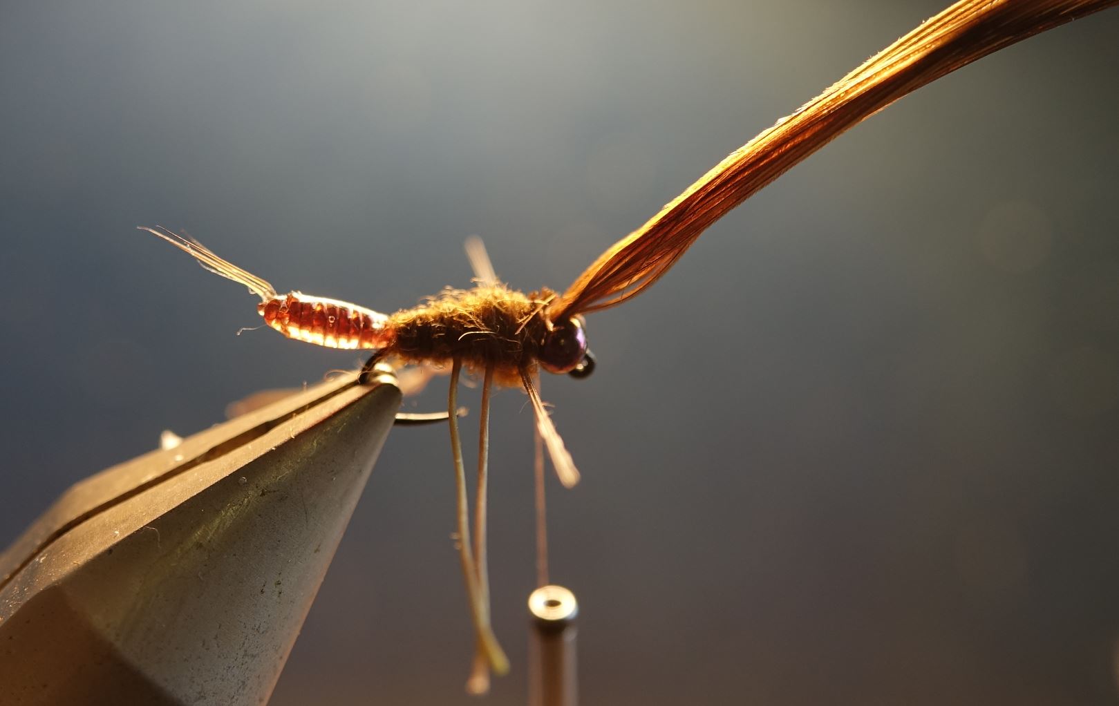 ANR larve larvae nymphe nymph fly tying flytying mouche eclosion