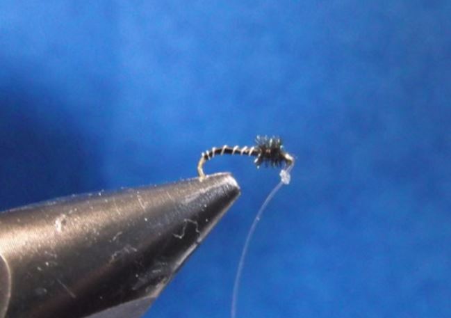 Chiro tandem chironomid twin chironome fly tying mouche eclosion
