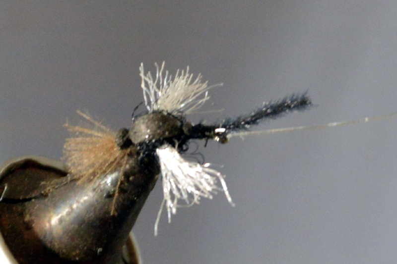 chiro chironome tandem twin chironomid mouche fly tying tying eclosion
