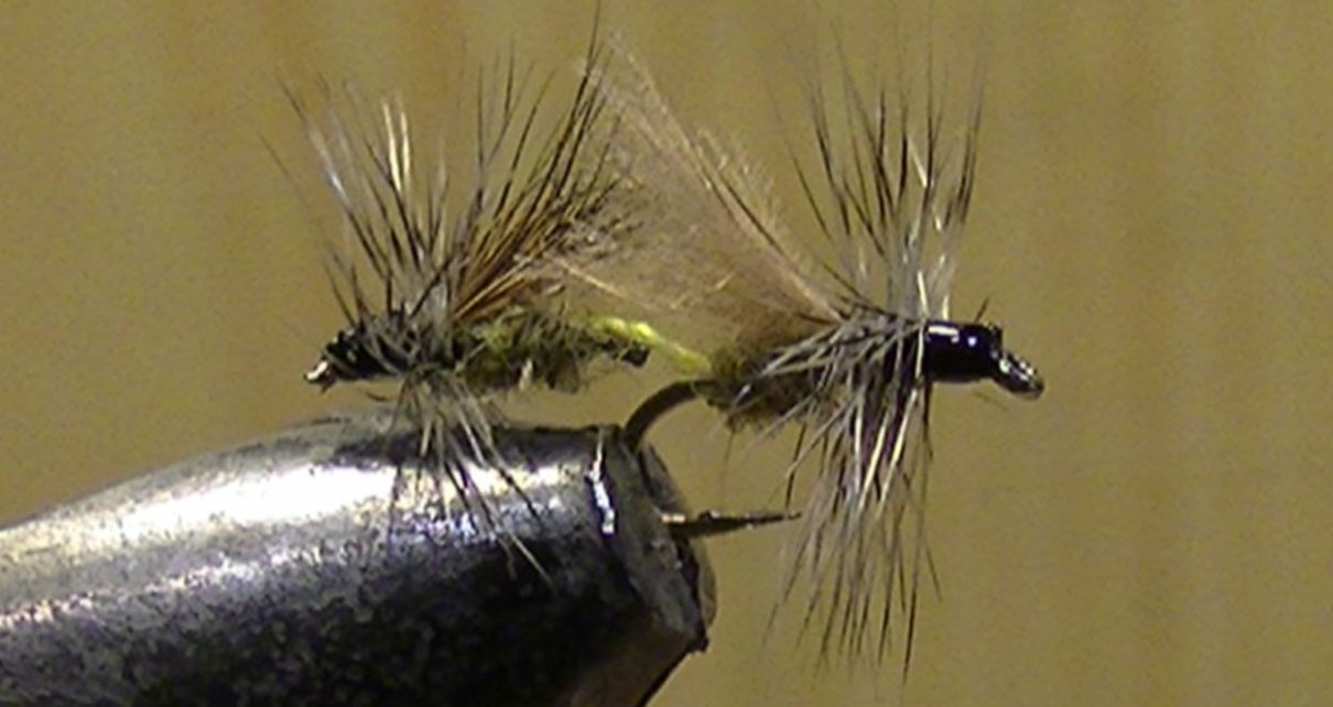 chironome chiro chironomid tandem twin mouche fly tying flytying eclosion