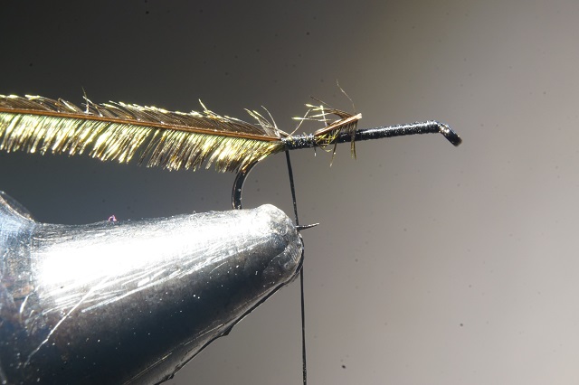 mouche tandem corps paon fly flytying tying mouche eclosion