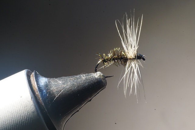 mouche tandem corps paon fly flytying tying mouche eclosion