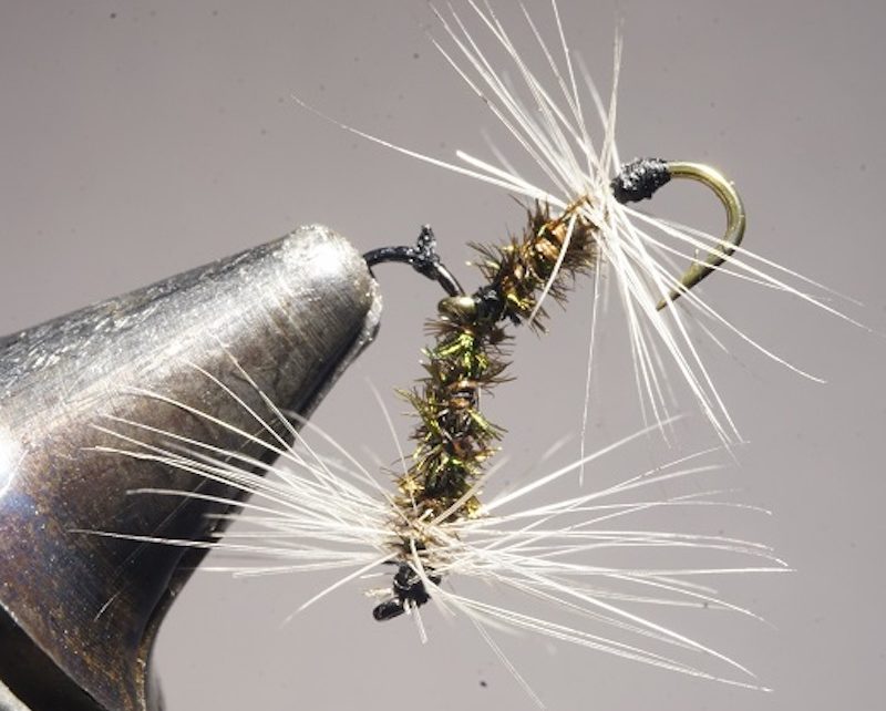 mouche tandem corps paon fly flytying tying mouche eclosion mis en avant