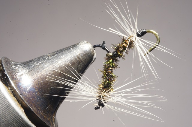 mouche tandem corps paon fly flytying tying mouche eclosion