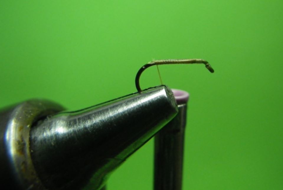 Sedge accouplement mating caddis tandem twin flytying fly mouche tying eclosion