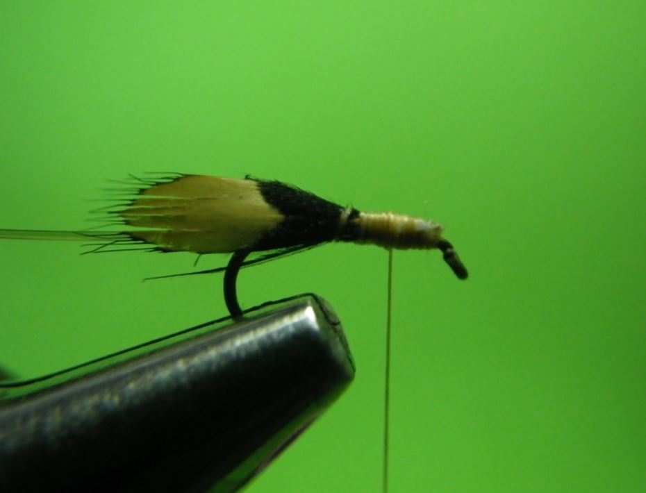 Sedge accouplement mating caddis tandem twin flytying fly mouche tying eclosion