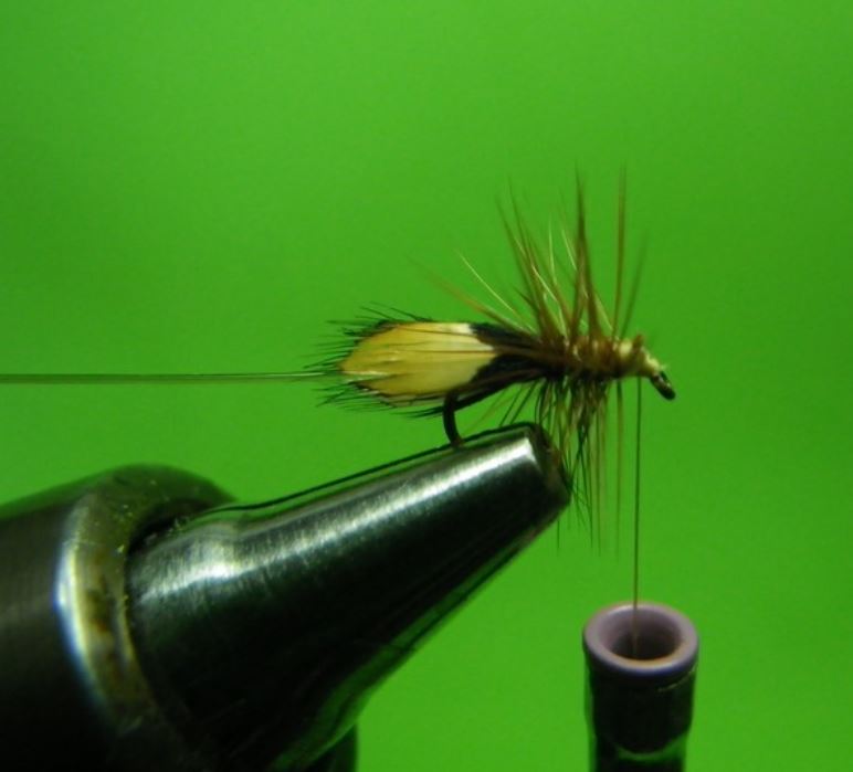 Sedge accouplement mating caddis tandem twin flytying fly mouche tying eclosion