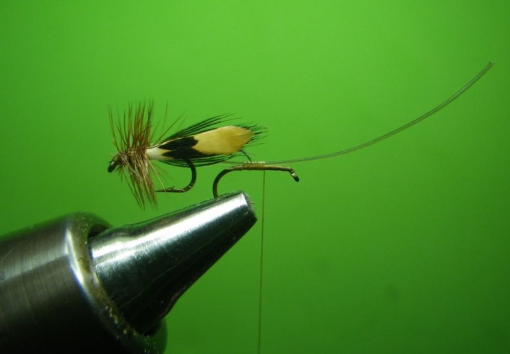 Sedge accouplement mating caddis tandem twin flytying fly mouche tying eclosion