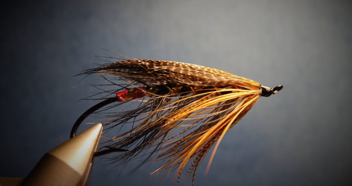 Spey hackle fly mouche flytying tying feather plume pheasant faisan malladr duck oie gooz=se swan cygne eclosion