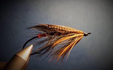 Spey hackle fly mouche flytying tying feather plume pheasant faisan malladr duck oie gooz=se swan cygne eclosion