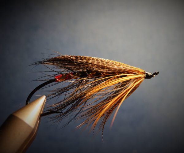 Spey hackle fly mouche flytying tying feather plume pheasant faisan malladr duck oie gooz=se swan cygne eclosion