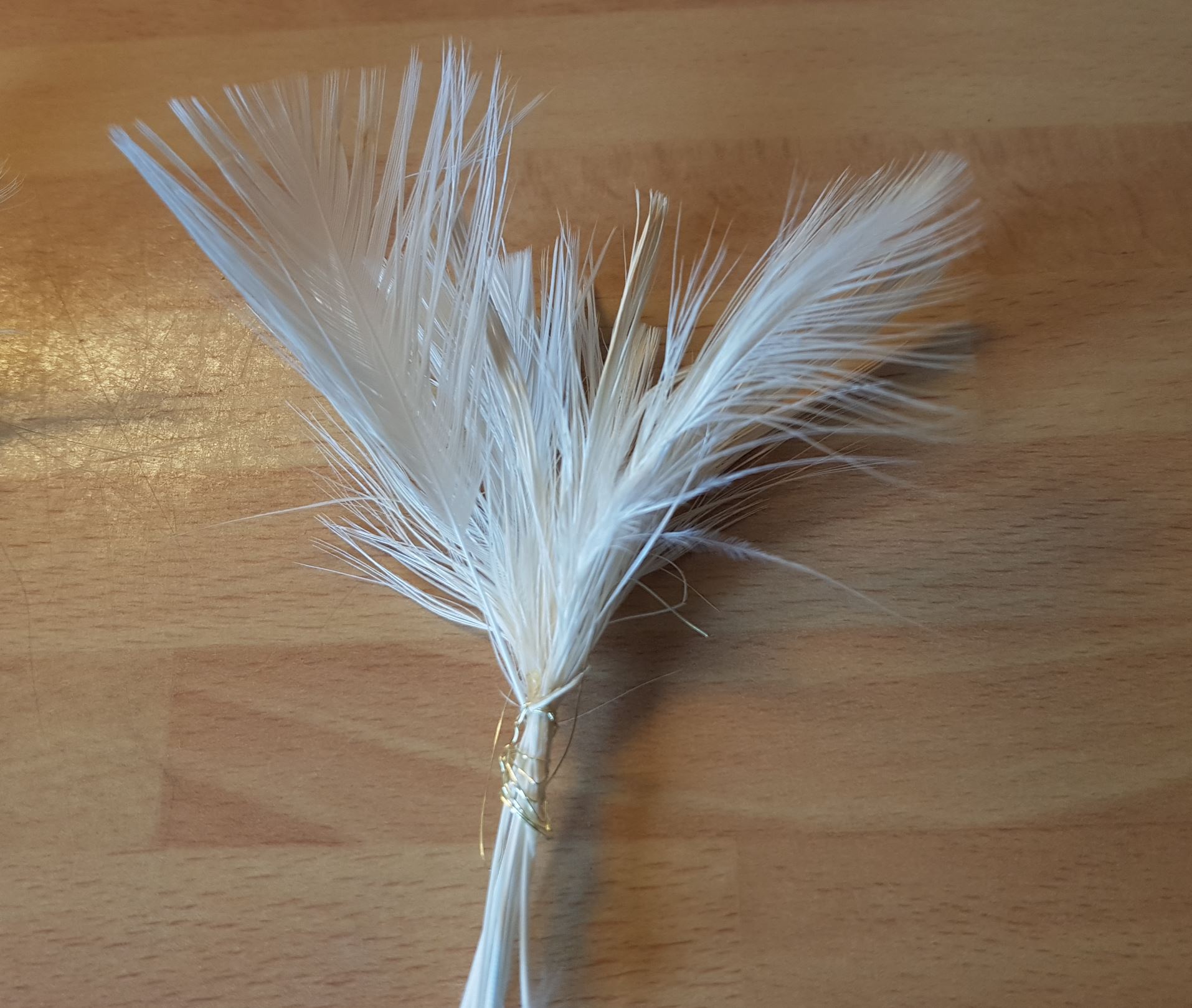 Spey hackle fly mouche flytying tying feather plume pheasant faisan malladr duck oie gooz=se swan cygne eclosion