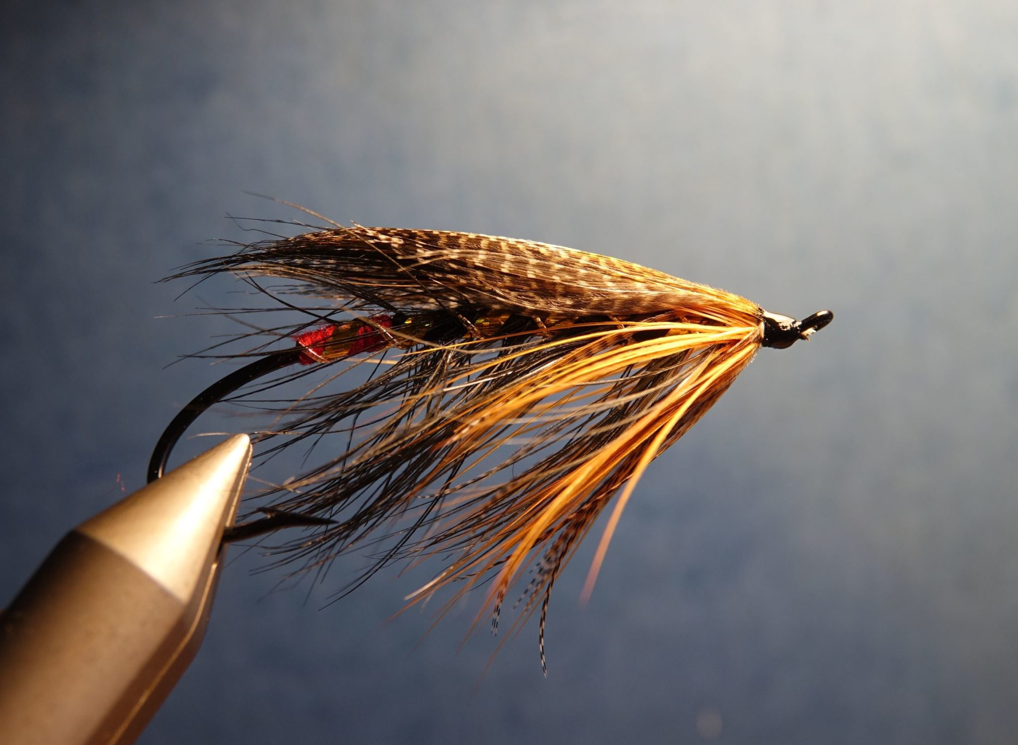 Spey hackle fly mouche flytying tying feather plume pheasant faisan malladr duck oie gooz=se swan cygne eclosion