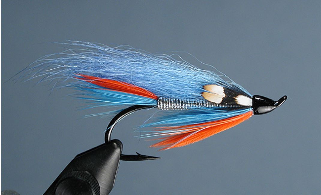 eclosion artic runner fly flytying tying mouche migrateutr salmon ausmon sea trout truite mer 