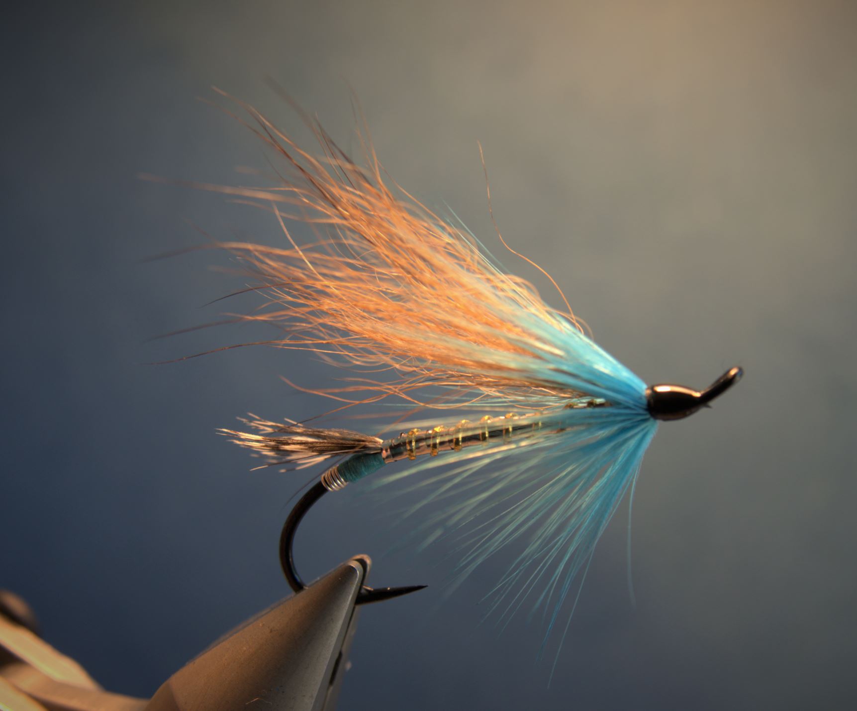 Blue Reynard renard fly tying flytying mouche eclosion fur poil saumon salmon seatrout truite de mer