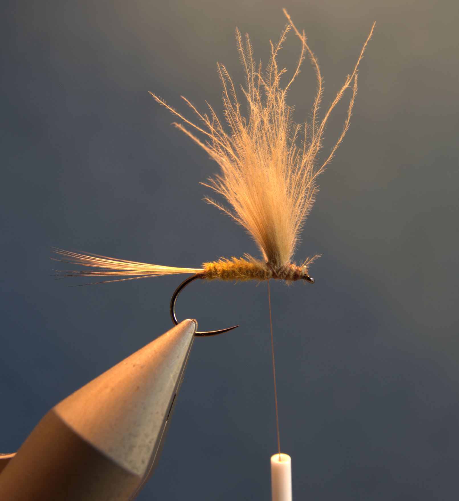 CDC MDM mayfly fly mouche flytying Mai eclosion