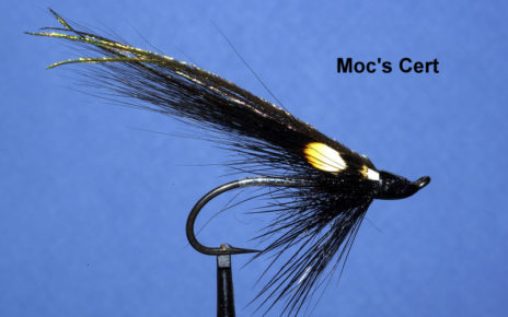 Moc's cert mouche fly flytying tying TDM seatrout eclosion mise en avant