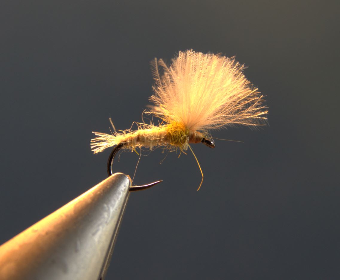 ATE sulfure olive CDC dubbing hare lievre fly mouche tying flytying eclosion 