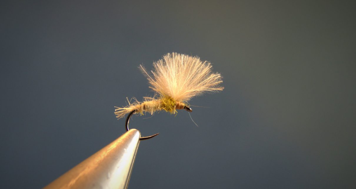 ATE sulfure olive CDC dubbing hare lievre fly mouche tying flytying eclosion