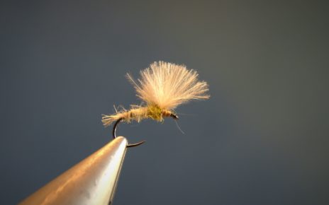 ATE sulfure olive CDC dubbing hare lievre fly mouche tying flytying eclosion