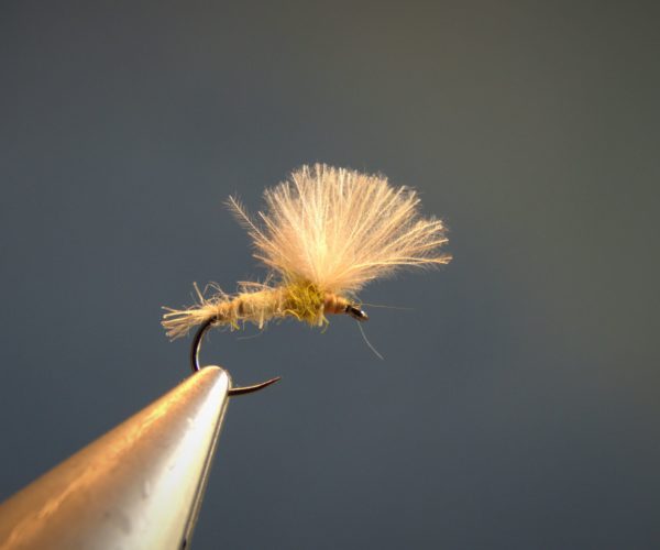 ATE sulfure olive CDC dubbing hare lievre fly mouche tying flytying eclosion