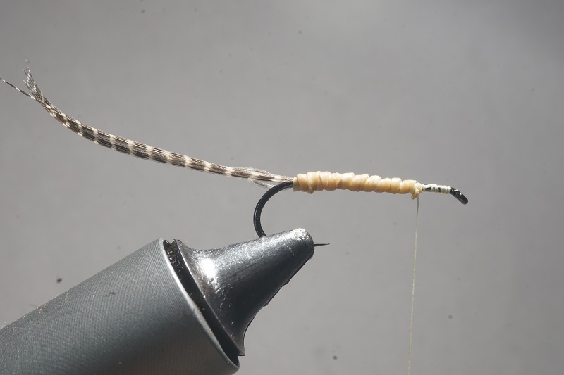 MDM mayfly mouche mai flytying tying eclosion