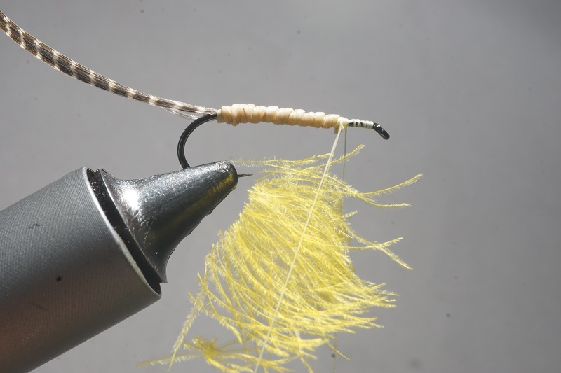 MDM mayfly mouche mai flytying tying eclosion