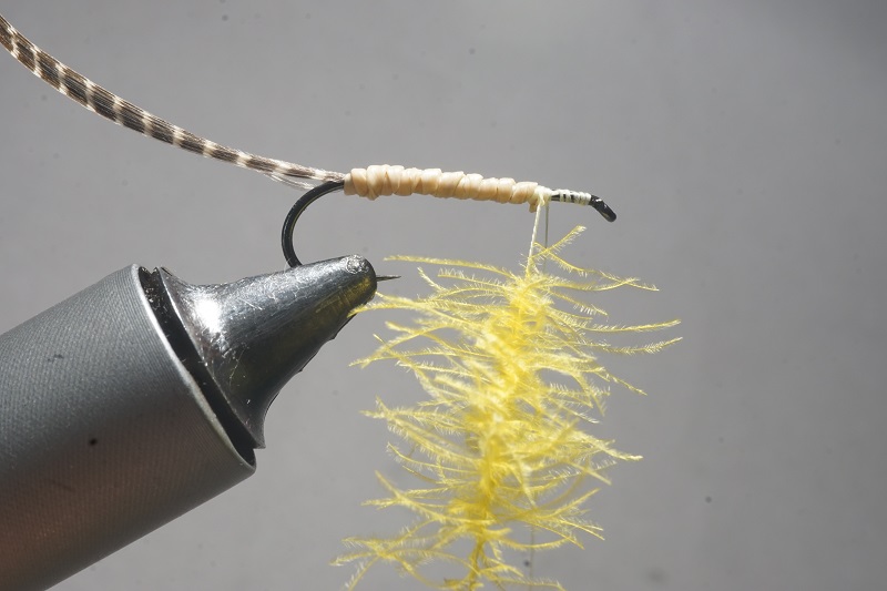 MDM mayfly mouche mai flytying tying eclosion