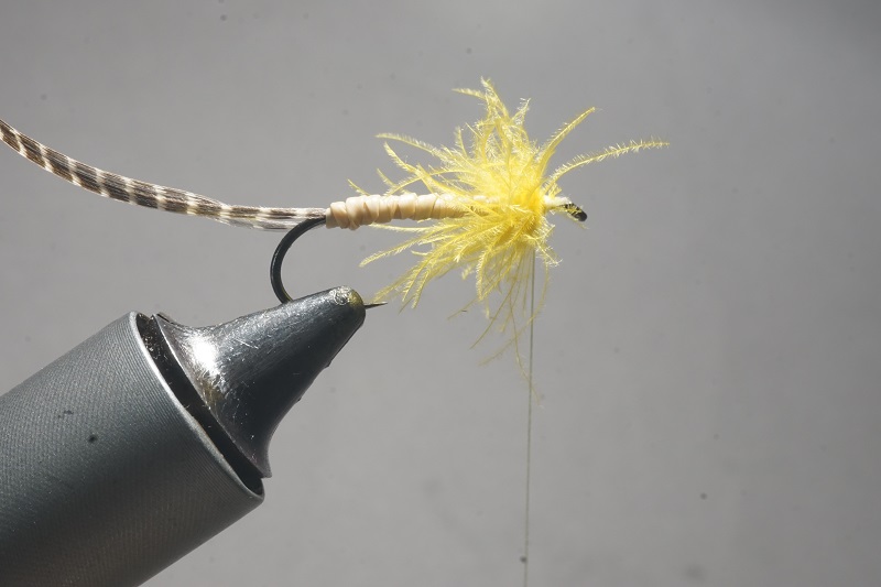 MDM mayfly mouche mai flytying tying eclosion