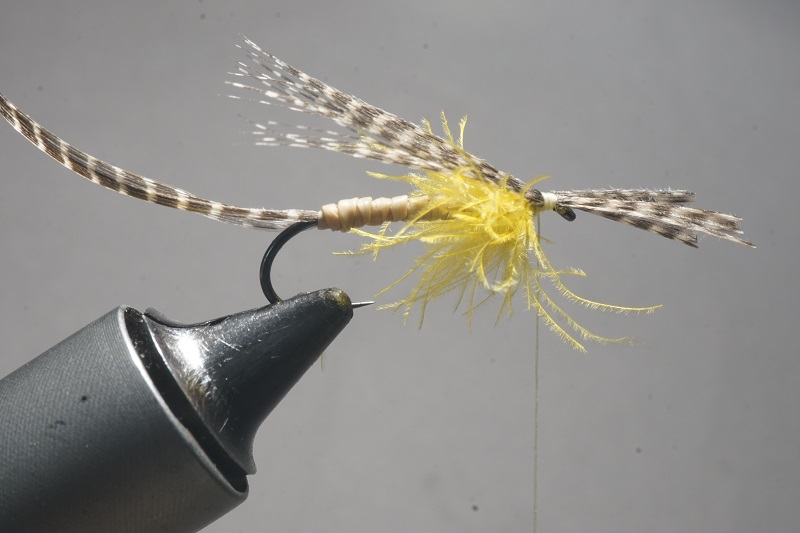 MDM mayfly mouche mai flytying tying eclosion