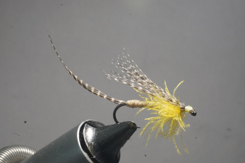 MDM mayfly mouche mai flytying tying eclosion