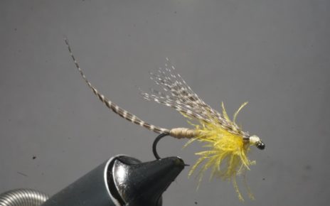 MDM mayfly mouche mai flytying tying eclosion