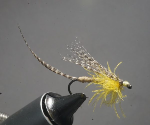 MDM mayfly mouche mai flytying tying eclosion