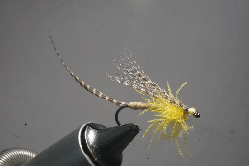 MDM mayfly mouche mai flytying tying eclosion