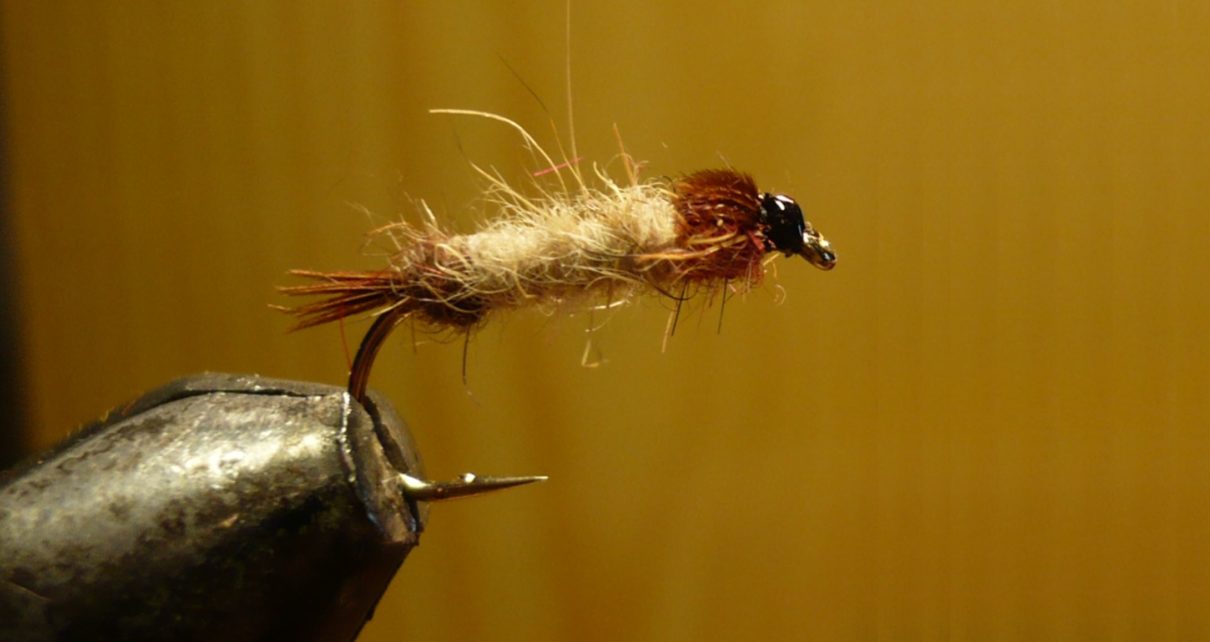 MDM mai nymphe flytying tying fly eclosion ABFly