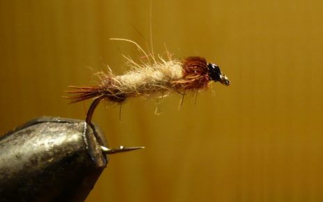 MDM mai nymphe flytying tying fly eclosion ABFly