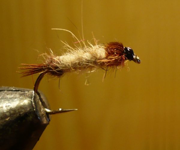 MDM mai nymphe flytying tying fly eclosion ABFly