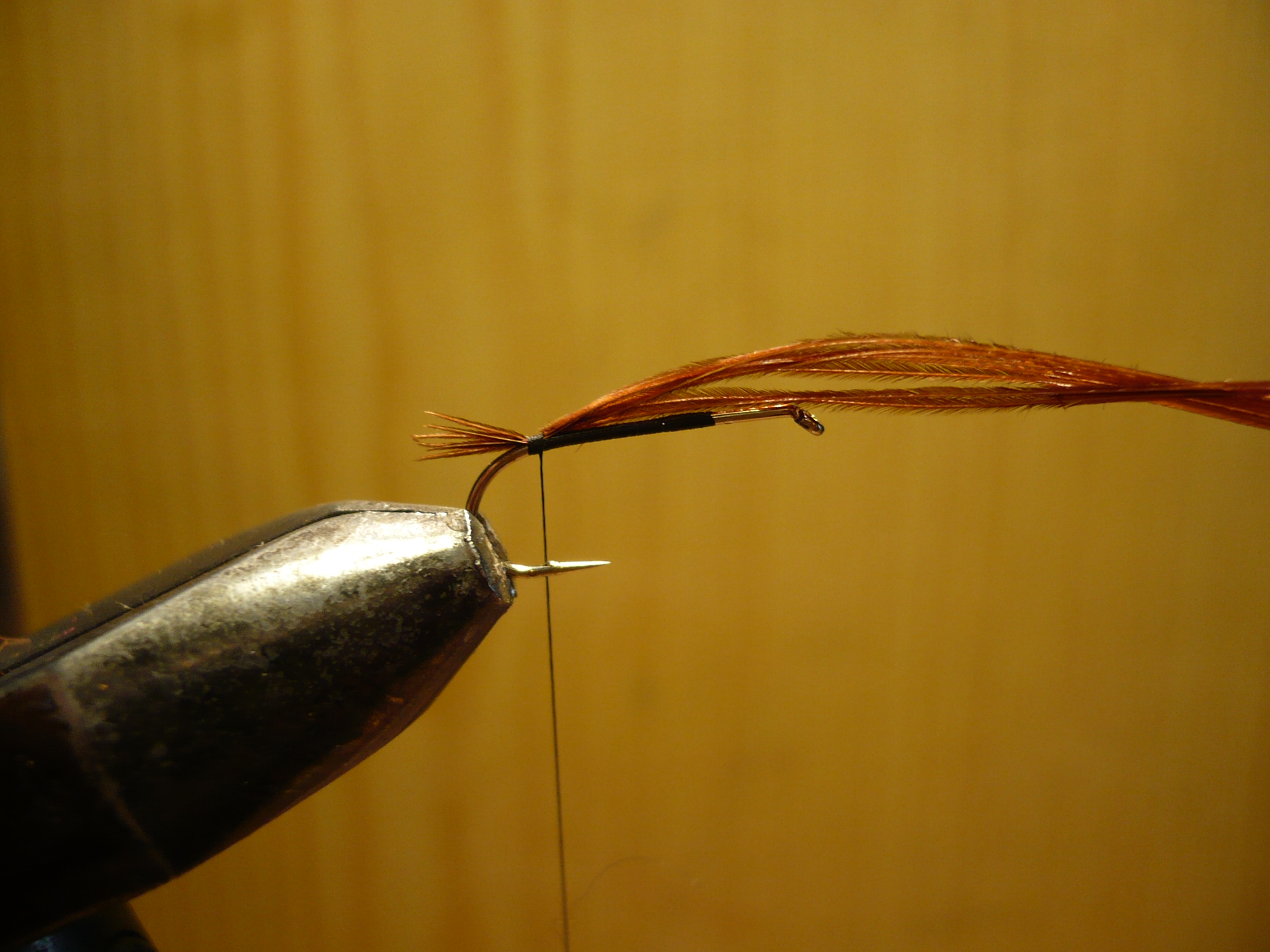 MDM mouche de may nymphe flytying tying fly eclosion