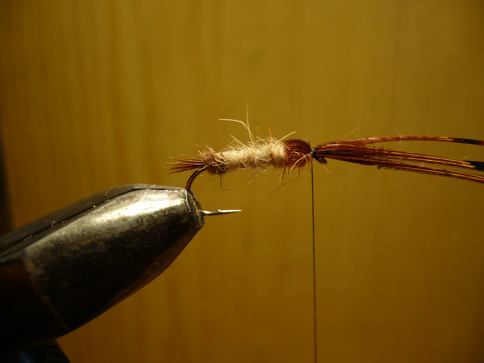 MDM mouche de may nymphe flytying tying fly eclosion