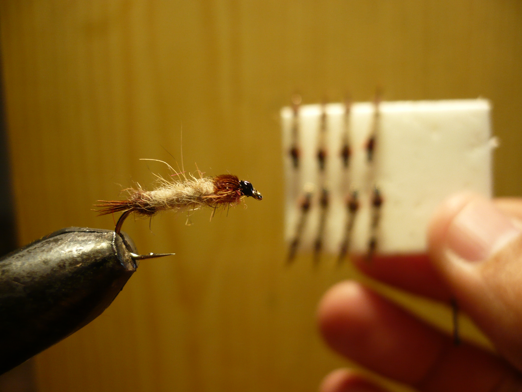 MDM mouche de may nymphe flytying tying fly eclosion