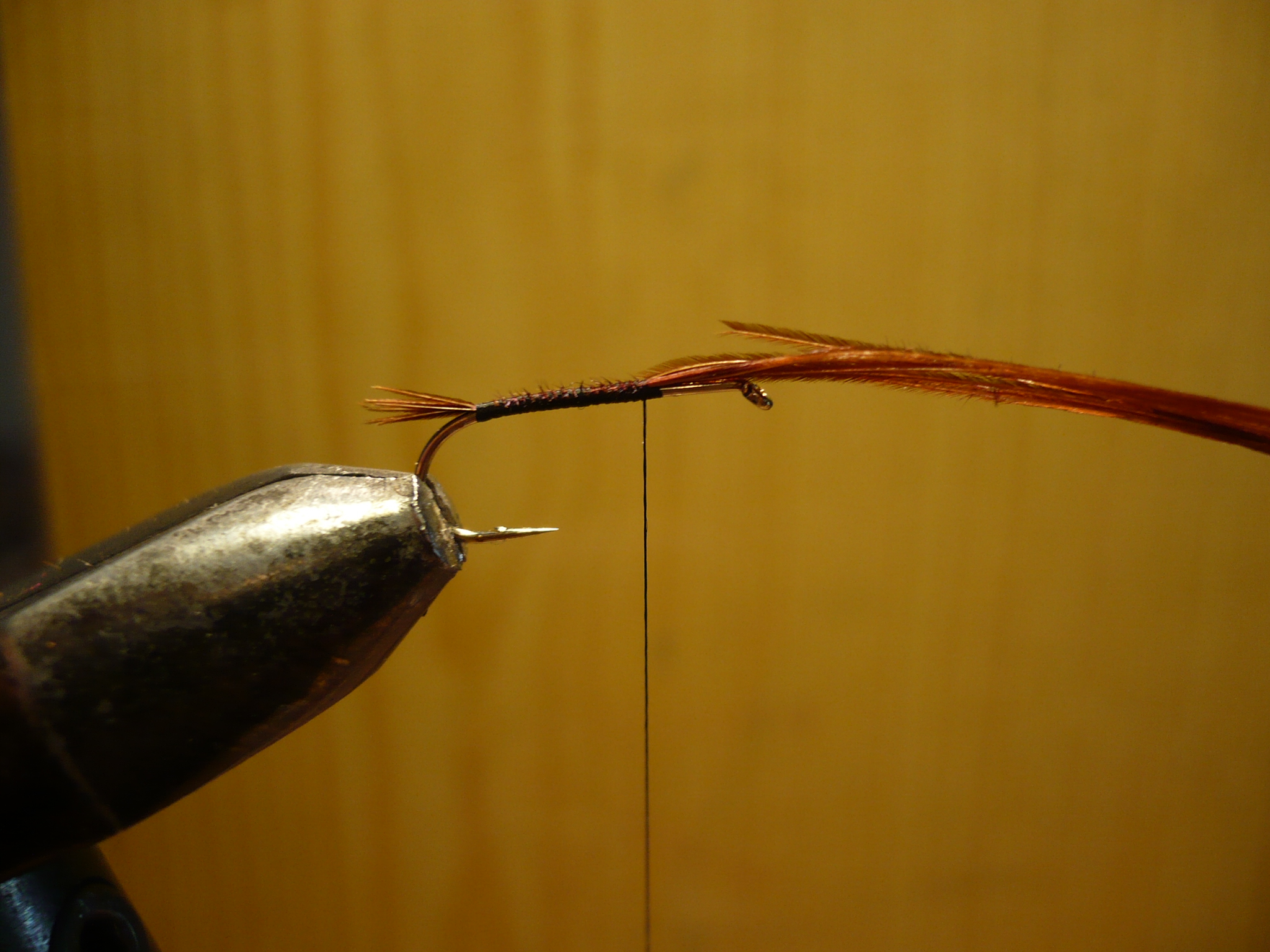 MDM mouche de may nymphe flytying tying fly eclosion