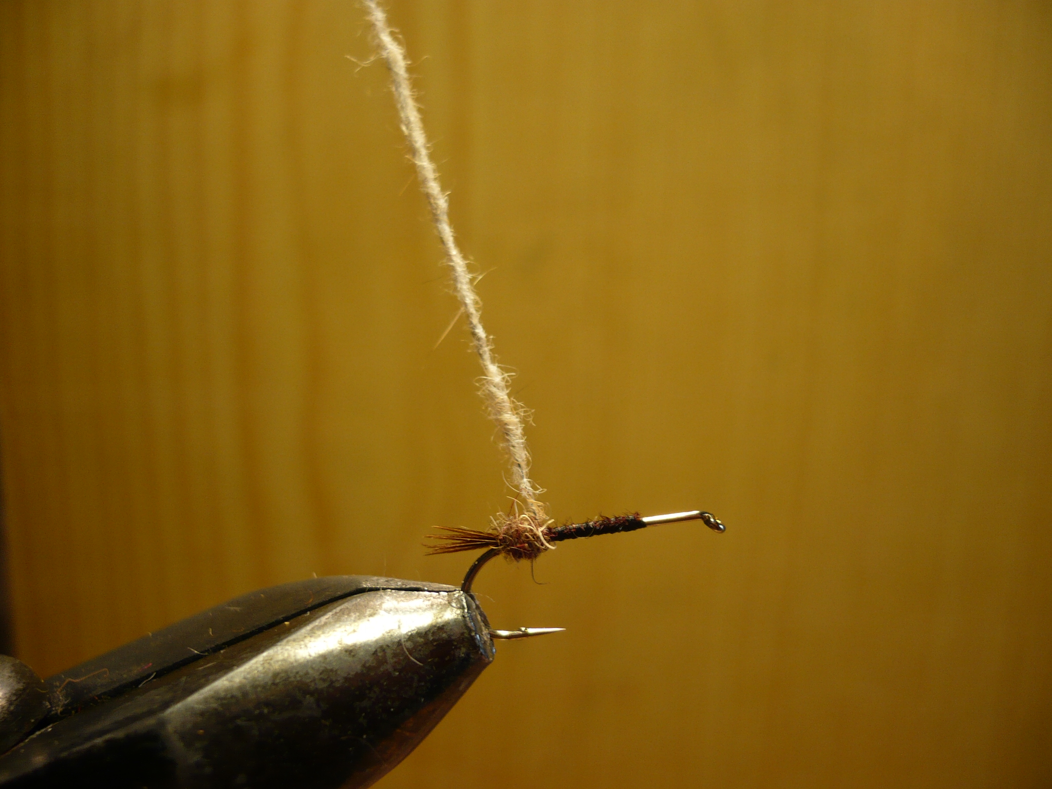 MDM mouche de may nymphe flytying tying fly eclosion